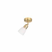 Спот Luce Solara Spot 5046/1PA Gold/white
