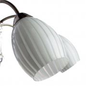 Подвесная люстра Arte Lamp Corniolo A9534LM-8AB