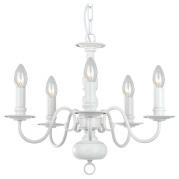 Подвесная люстра Arte Lamp Antwerpen A1029LM-5WC