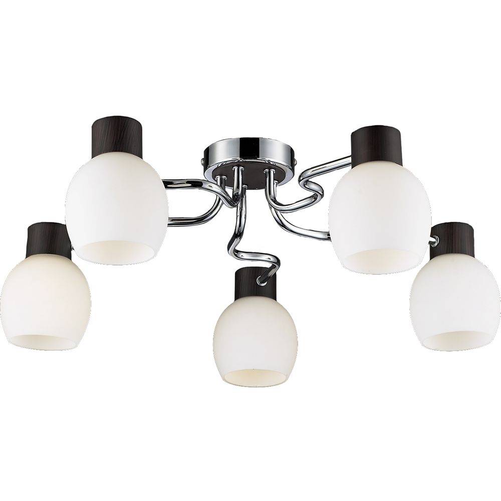Потолочная люстра Lussole Carpino LSC-8503-05