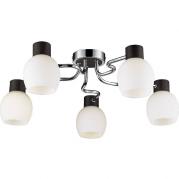 Потолочная люстра Lussole Carpino LSC-8503-05