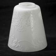 Потолочная люстра Lussole Lgo LSP-0102
