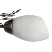 Потолочная люстра Arte Lamp Gardenia A2766PL-5AB