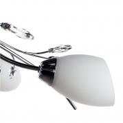 Потолочная люстра Arte Lamp Gardenia A2766PL-5CC
