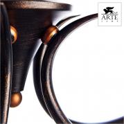 Потолочная люстра Arte Lamp Irene A5133PL-5BR