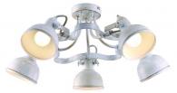 Потолочная люстра Arte Lamp Martin A5216PL-5WG