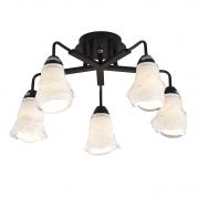 Потолочная люстра Luce Solara myOne RTL-63 Wenge