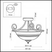 Потолочный светильник Odeon Light Marli 2573/2C