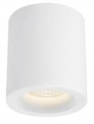 Потолочный светильник Arte Lamp Ugello A3124PL-1WH