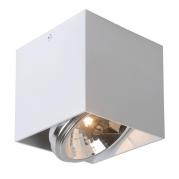 Потолочный светодиодный светильник Lucide Dialo Led 09911/12/31