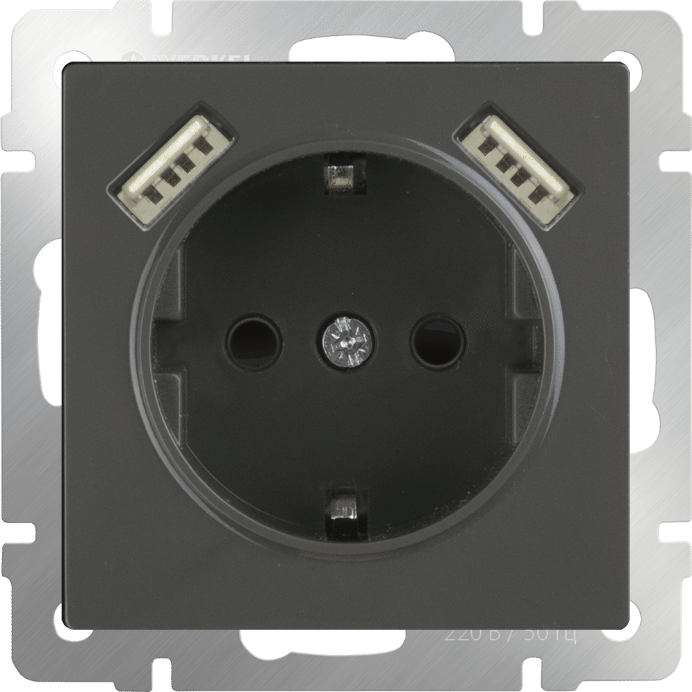 Розетка с заземлением, шторками и USBx2 серо-коричневая WL07-SKGS-USBx2-IP20 4690389073229