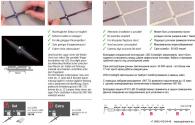Встраиваемый светодиодный светильник (в комплекте 4 шт.) Paulmann Crosslight 98772