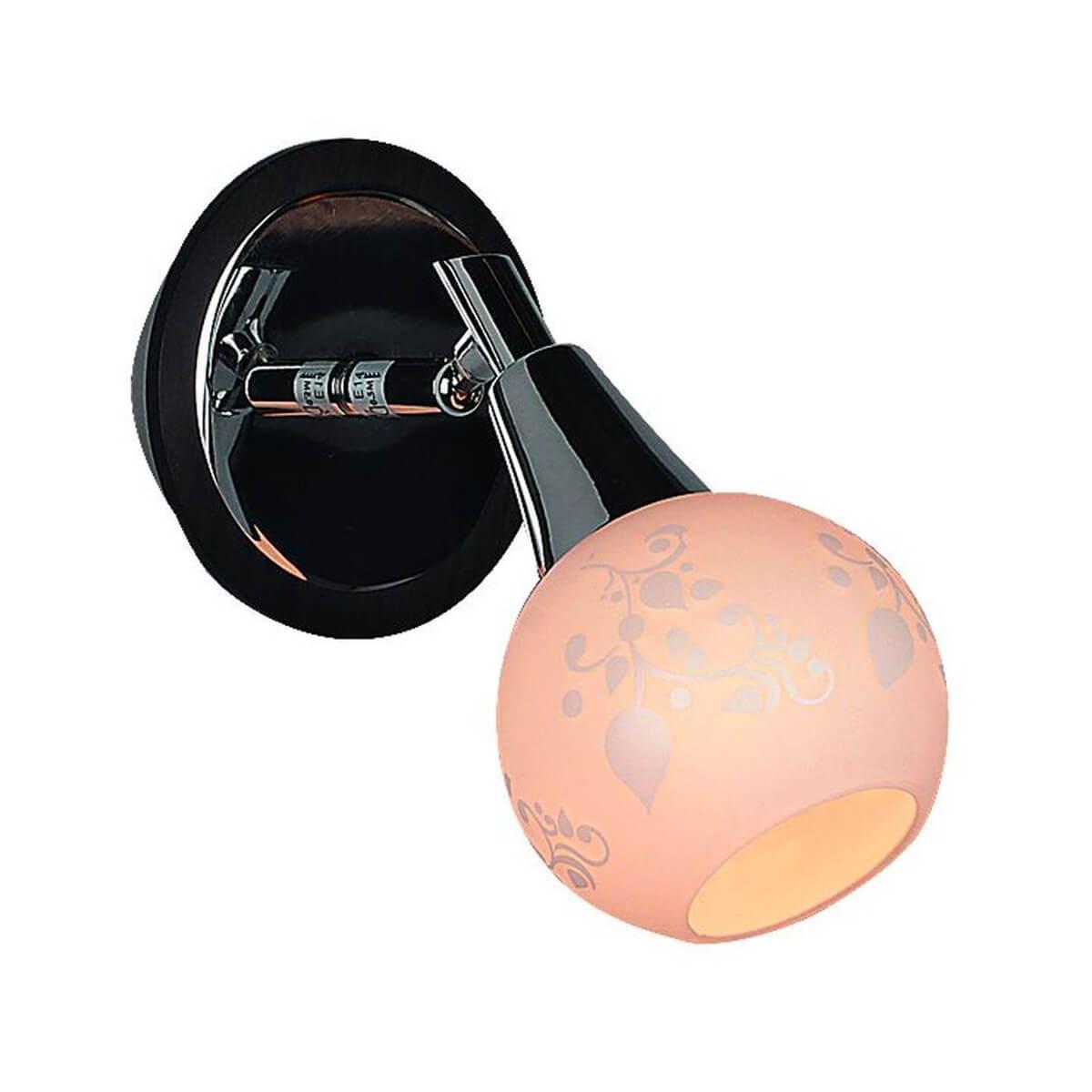 Спот  Omnilux OML-21501-01