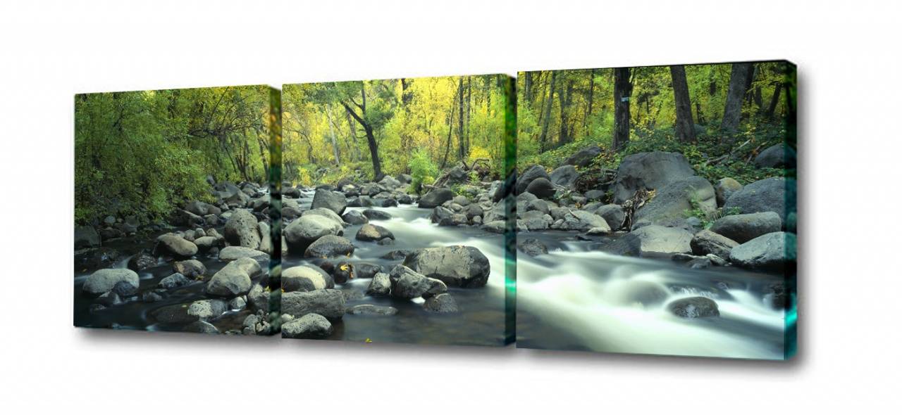 Модульная картина Каменистый ручей Toplight 150х50см TL-M2045
