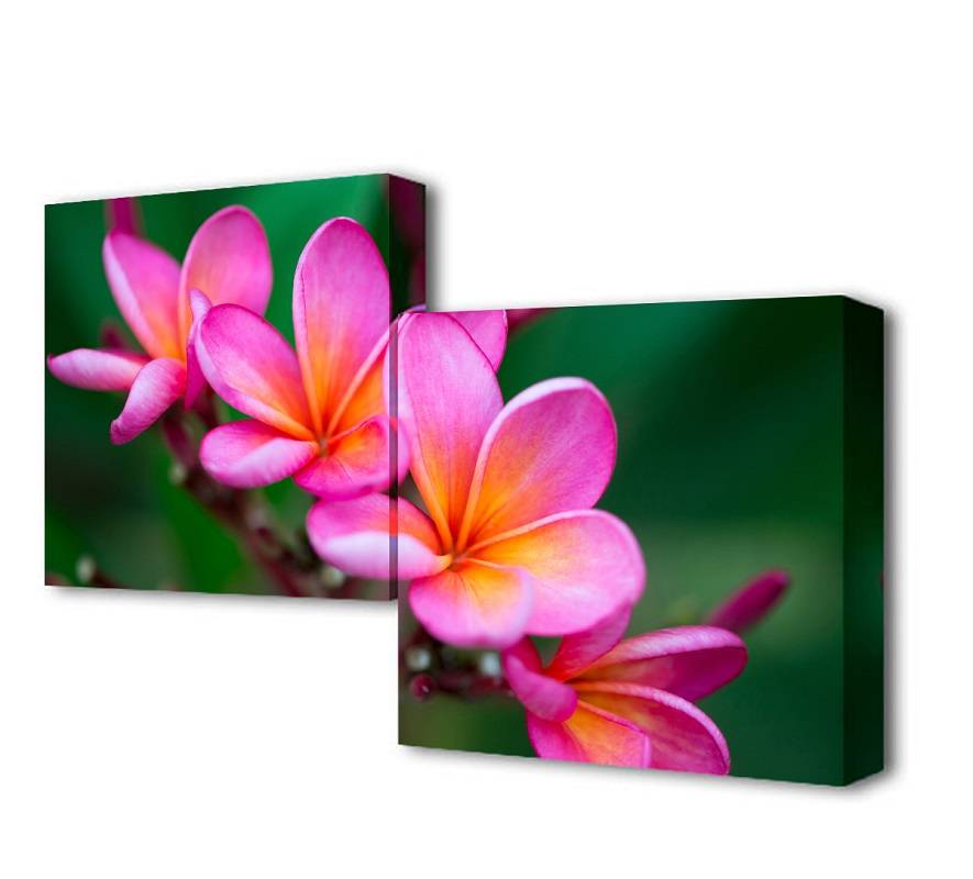 Модульная картина Нежность цветения Toplight 50x100см TL-M2010