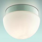 Потолочный светильник Odeon Light Minkar 2443/1B