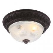 Потолочный светильник Arte Lamp Piatti A8006PL-2CK