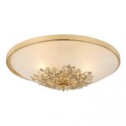Потолочный светильник Arte Lamp Collinetta A9116PL-2GO