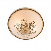 Потолочный светильник Arte Lamp Collinetta A9116PL-2GO