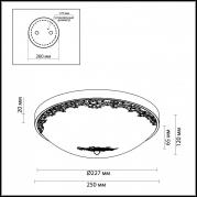 Потолочный светильник Odeon Light Alesia 2676/3C