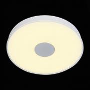 Потолочный светодиодный светильник ST Luce Semplicita SL473.502.01