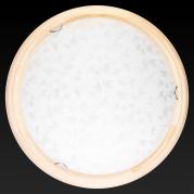 Настенно-потолочный светодиодный светильник Toplight Beatrice TL9280Y-00PN