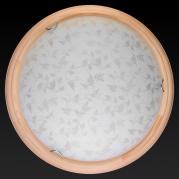 Настенно-потолочный светодиодный светильник Toplight Beatrice TL9280Y-00PN