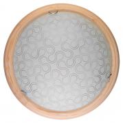 Настенно-потолочный светодиодный светильник Toplight Christina TL9520Y-00PN