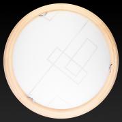 Настенно-потолочный светодиодный светильник Toplight Debora TL9540Y-00PN