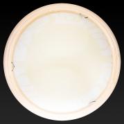 Настенно-потолочный светодиодный светильник Toplight Ginger TL9620Y-00PN