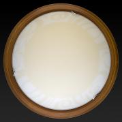 Настенно-потолочный светодиодный светильник Toplight Ginger TL9620Y-00OA