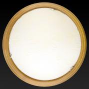 Настенно-потолочный светодиодный светильник Toplight Jane TL9640Y-00OA