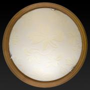 Настенно-потолочный светодиодный светильник Toplight Jane TL9640Y-00OA