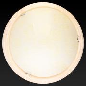 Настенно-потолочный светодиодный светильник Toplight Jane TL9640Y-00PN