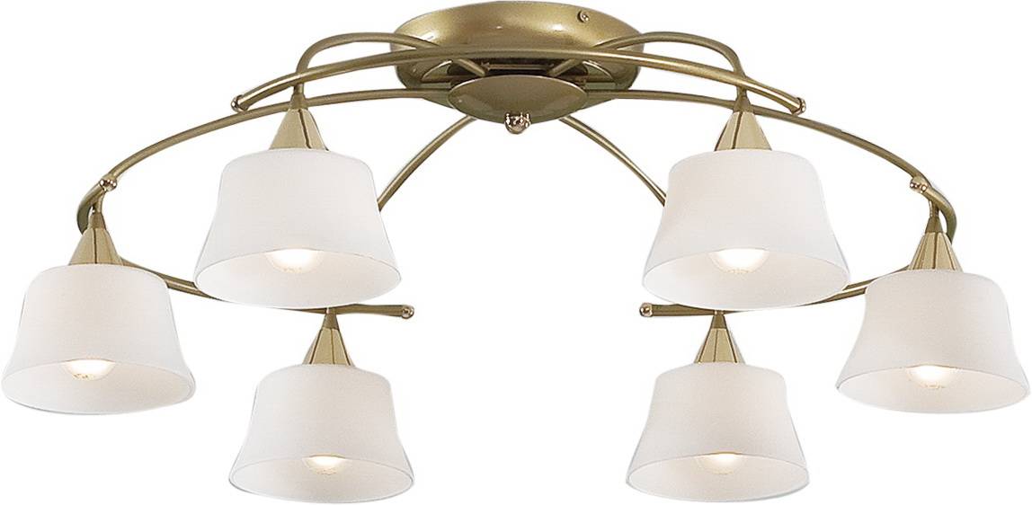 Потолочная люстра Citilux Стелла CL110162