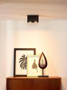 Потолочный светильник Lucide Bodi 09101/02/30