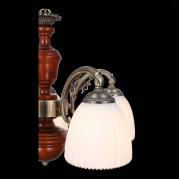 Подвесная люстра ST Luce Fiore SL151.303.05