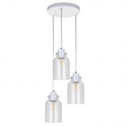 Подвесная люстра Spot Light Alessandro 1760332
