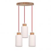 Подвесная люстра Spot Light Bosco 1716574