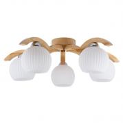 Потолочная люстра Spot Light Vasa 5640560
