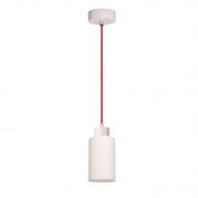 Подвесной светильник Spot Light Bosco 1716132