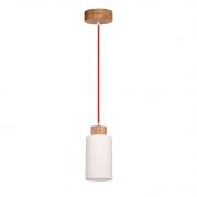 Подвесной светильник Spot Light Bosco 1716174