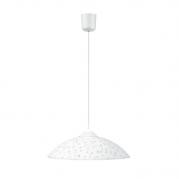 Подвесной светильник Spot Light Flora 4044502