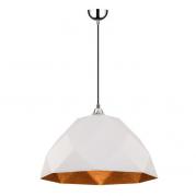 Подвесной светильник Spot Light Rich 1030760