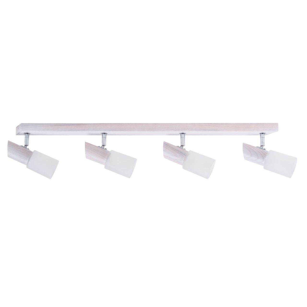 Спот Spot Light Birgit 2222432