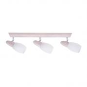 Спот Spot Light Juliana 2217332