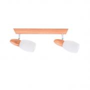 Спот Spot Light Juliana 2217270