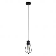Подвесной светильник Spot Light Lorenzo 9981104
