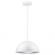 Подвесной светодиодный светильник Spot Light Ray 3050102