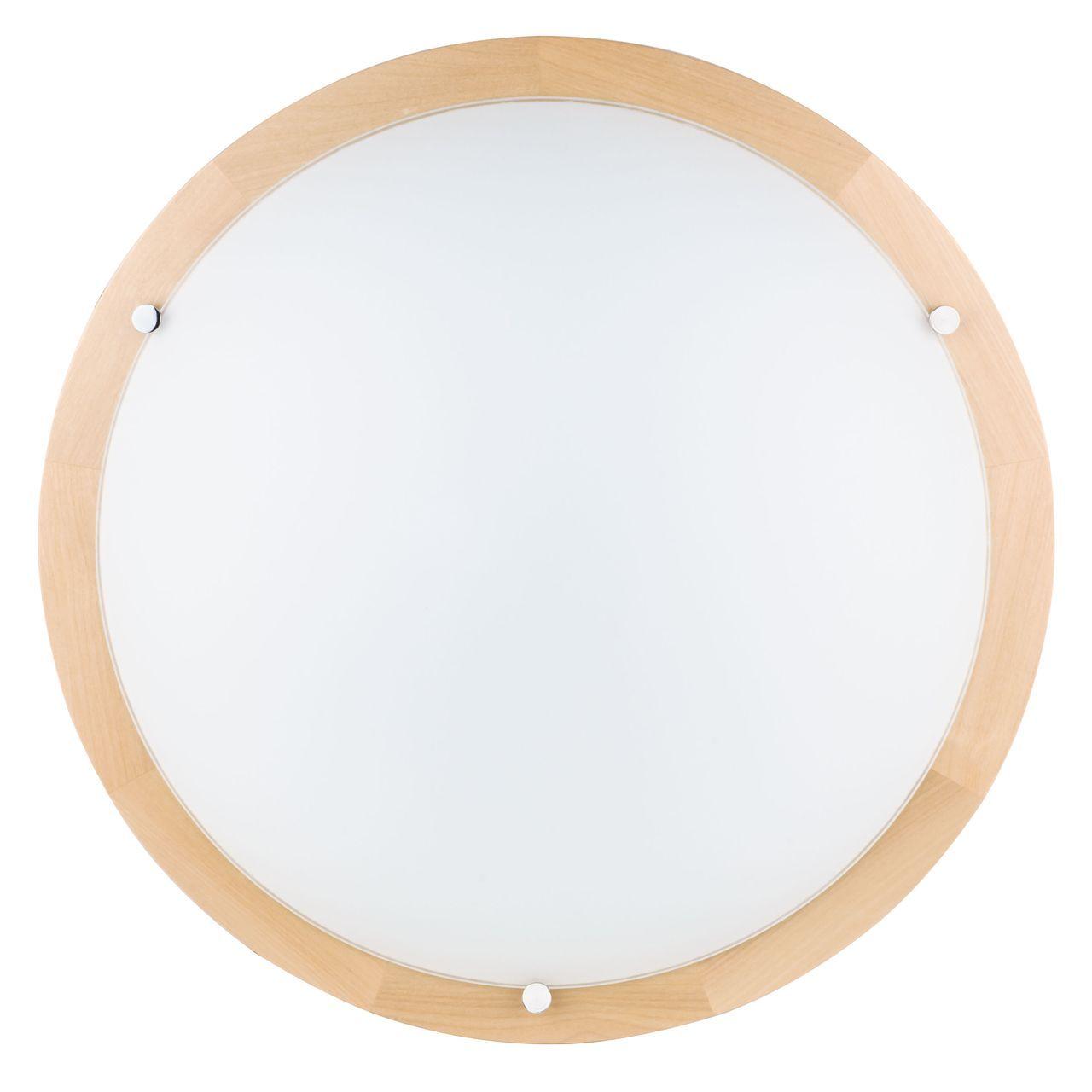 Настенно-потолочный светодиодный светильник Spot Light Frida 4754260